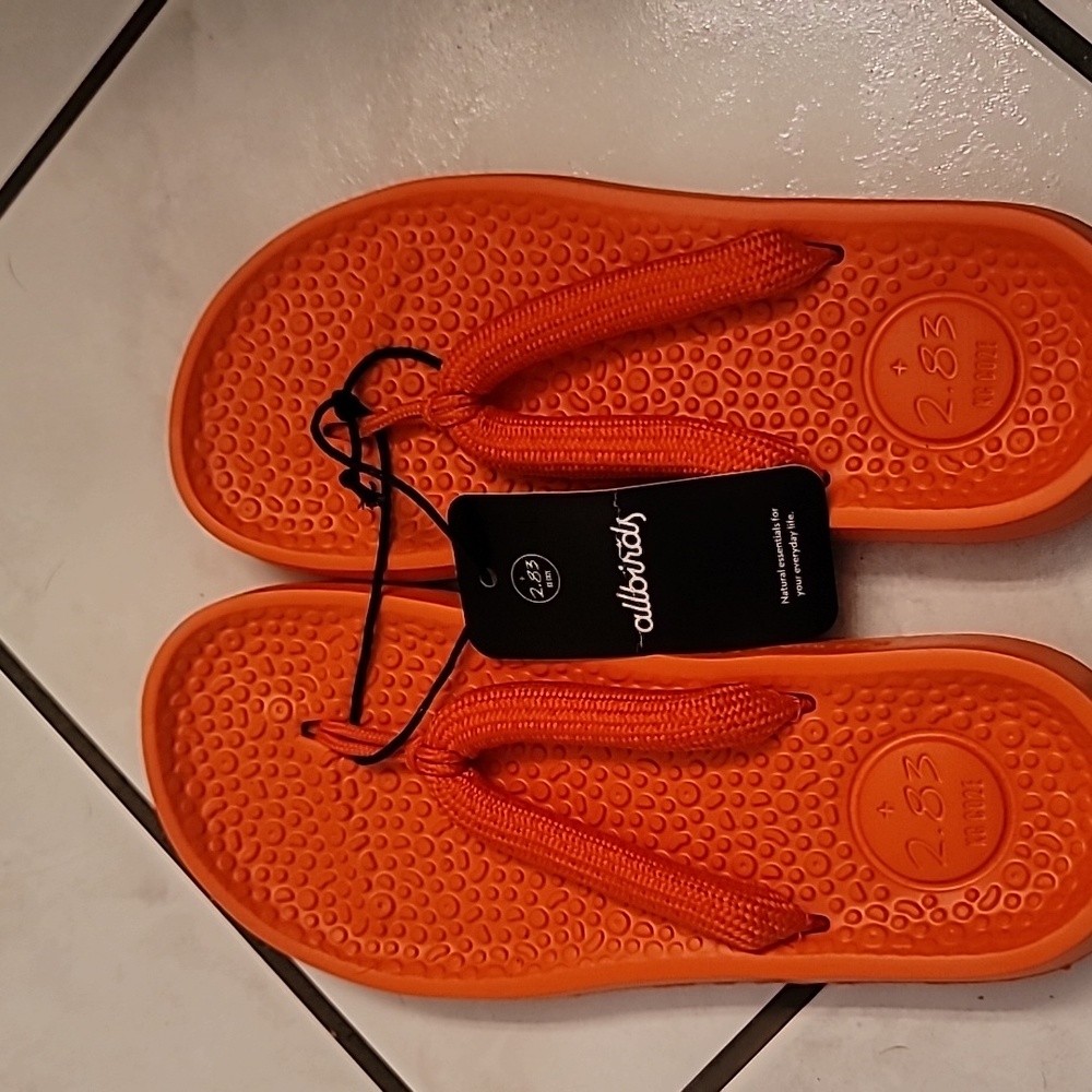 Allbirds flip flop